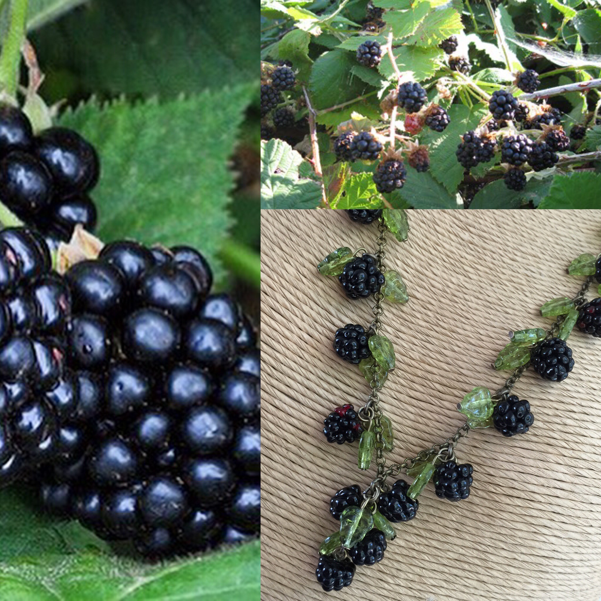 Julia Lee's Sierra
                Berries Blackberry necklace